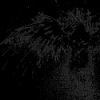 Аватар: Малек Философ