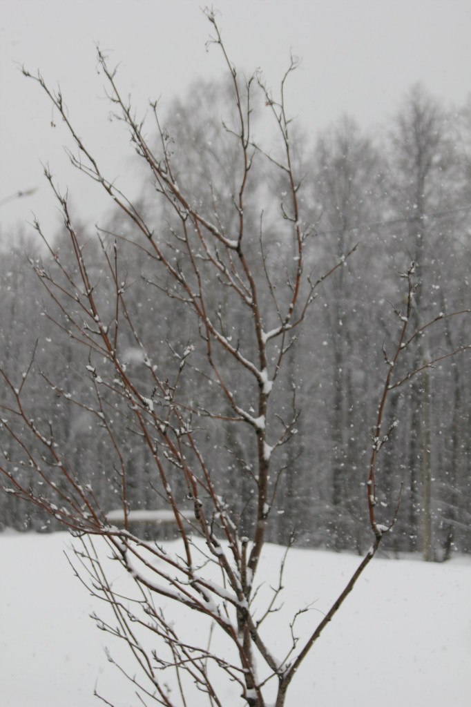 Рамиль Вафин | Казань