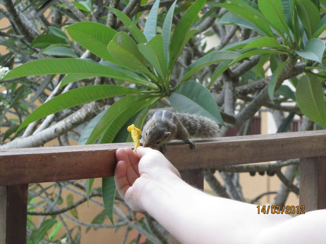 Евгений Хрипунов | Москва