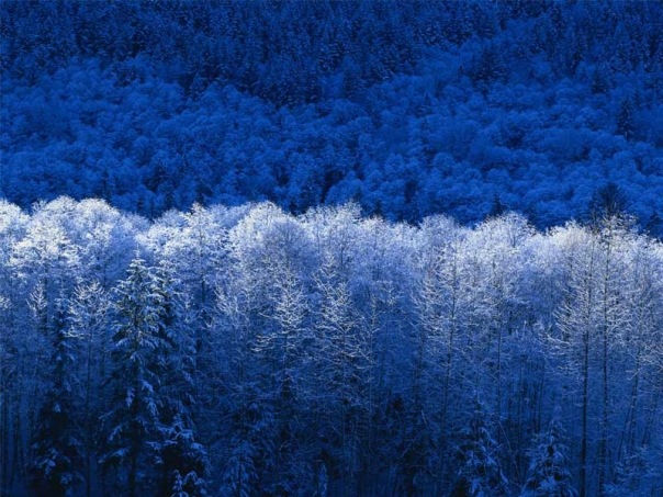 Юля Ислямова фотография #1