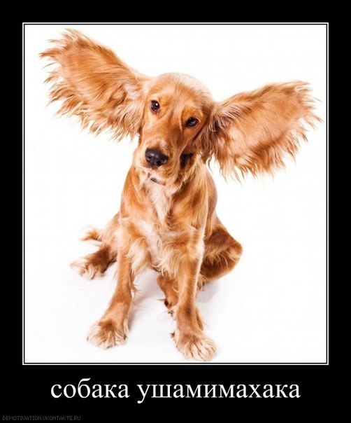 Юля Капелюшок | Киев