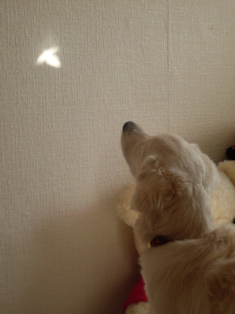 Евгений Артемов | Комсомольск-на-Амуре