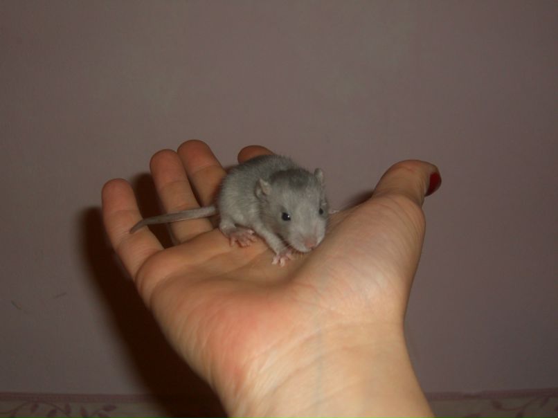 Виктория Кирьянен | Кондопога