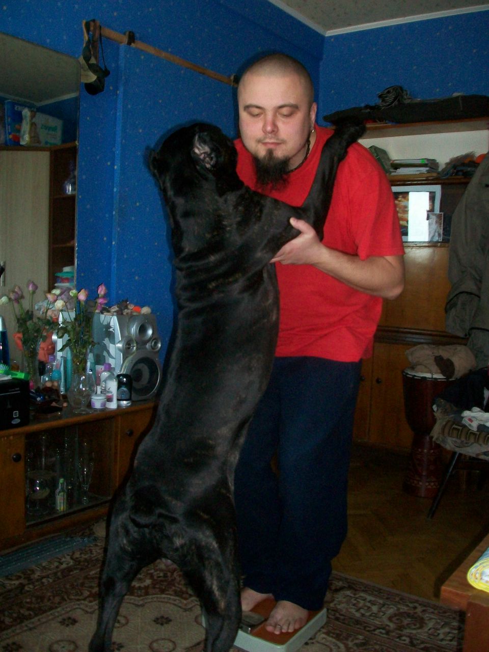 Suphler Taka | Киев