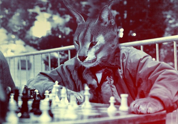 Ирина Кондаурова | Сочи