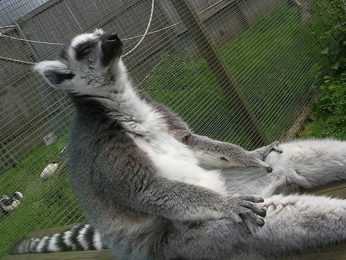 №36, Олеся Алексеева, 7.1.1901, Москва №36, Олеся Алексеева, 7.1.1901, Москва