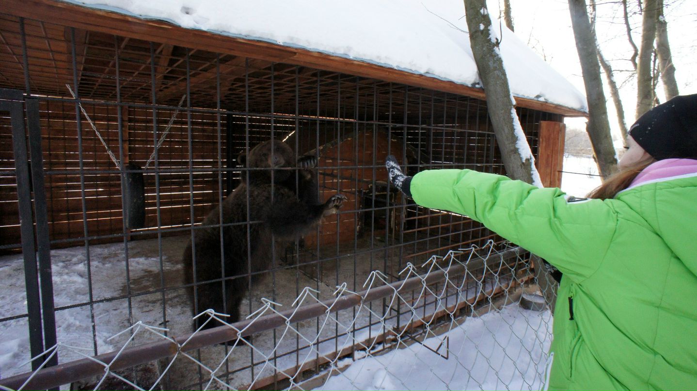 Нинка Мандаринка | Москва