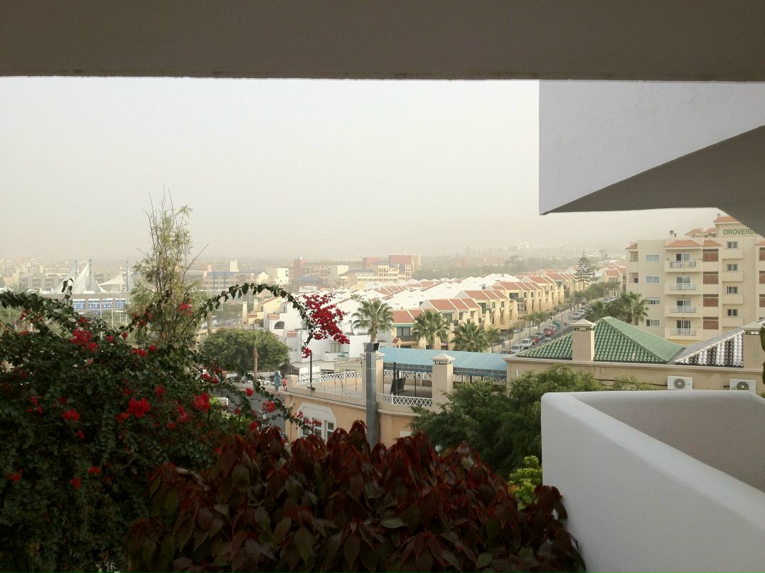 Сергей Ковалёв Солнечный | Санкт-Петербург