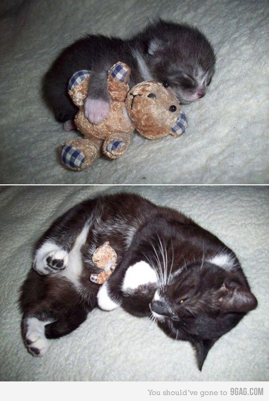 Samuel Gonzalez Barcenas | León