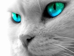 Татьяна Слабеняк | Константиновка