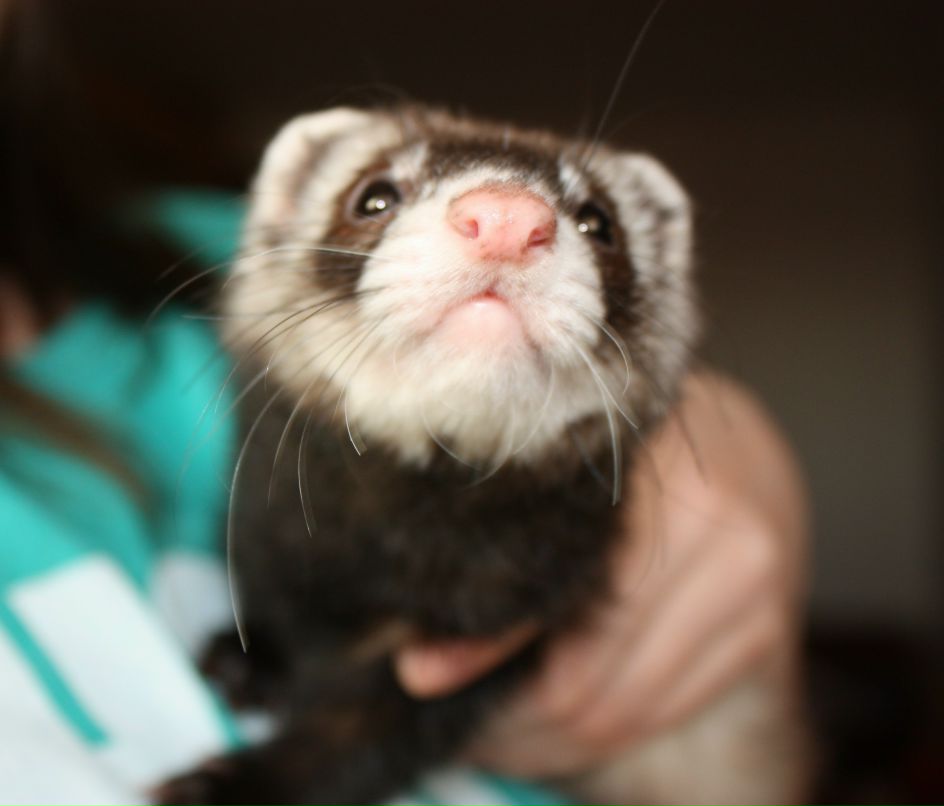 Кристина Яблочкина | Москва