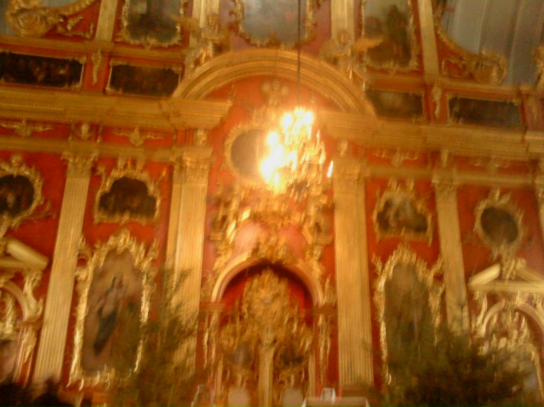 elenax95@mail.ru Чиркова | Москва