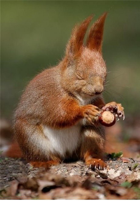 Илья Иванов | Москва