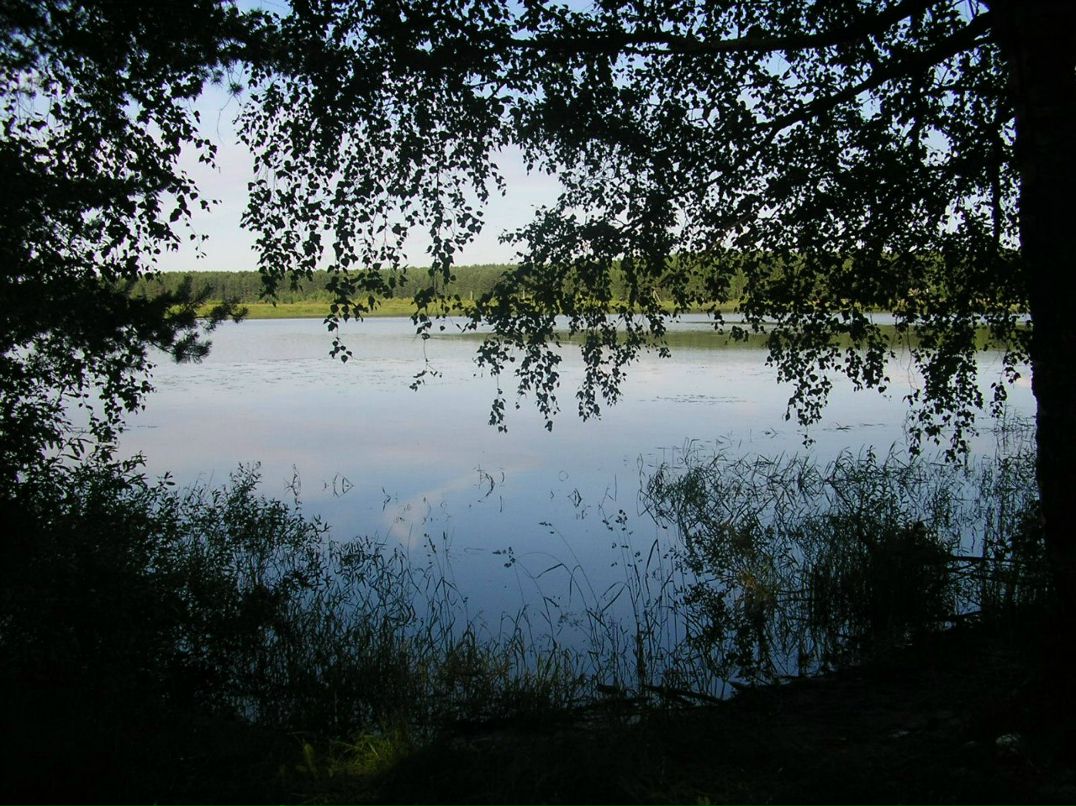 Денис Макарычев NeD | Рыбинск