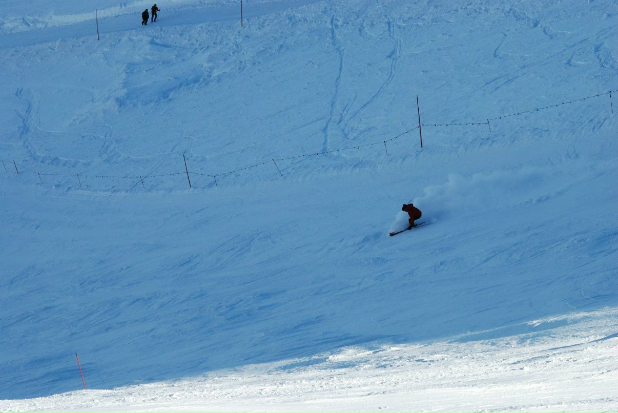 Петр Павлик | 