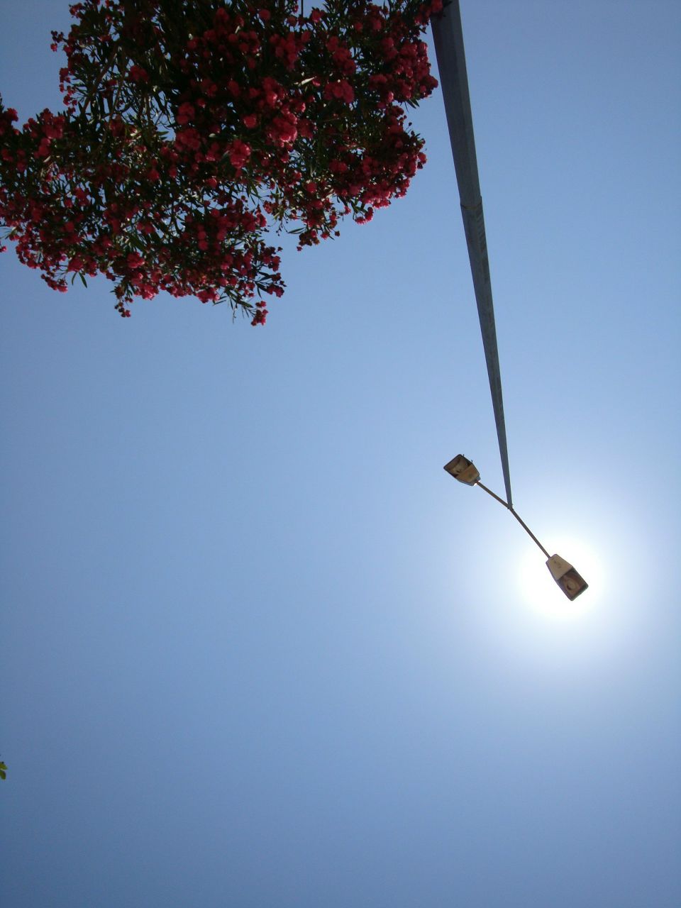 Дмитрий Одерышев | Санкт-Петербург