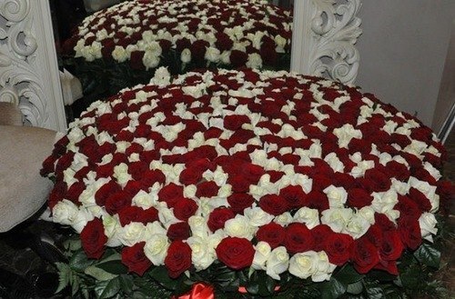 Наташа Борисова | Санкт-Петербург