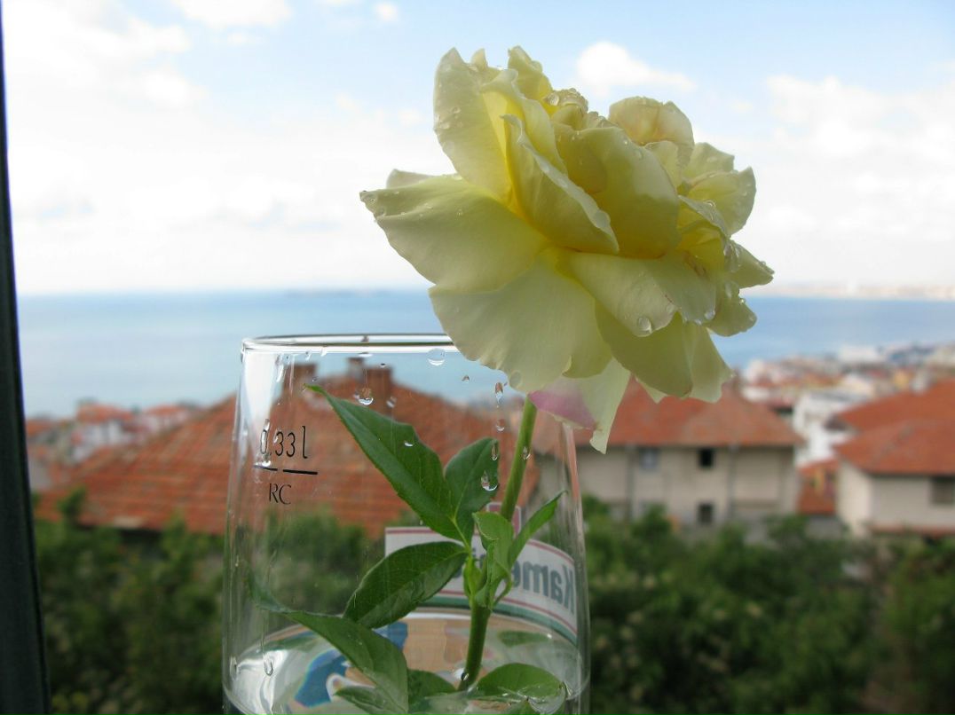 Ира Крюкова | Санкт-Петербург