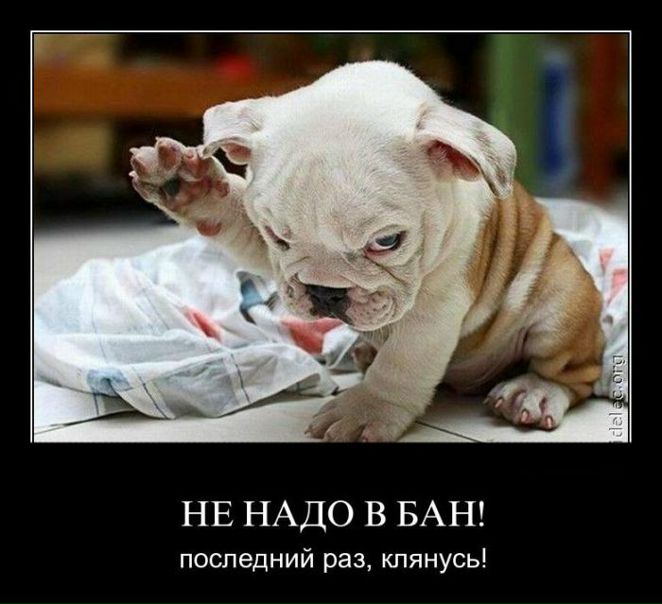 №72, Алексей Тищенкоо, 42 года, Киев №72, Алексей Тищенкоо, 42 года, Киев