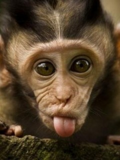 №11, Виталик Кулиш №11, Виталик Кулиш