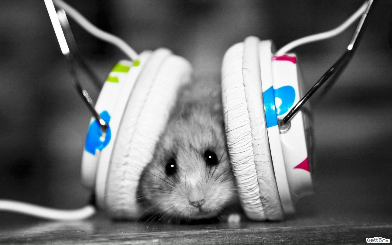 Олишна Кинденова | Мегион