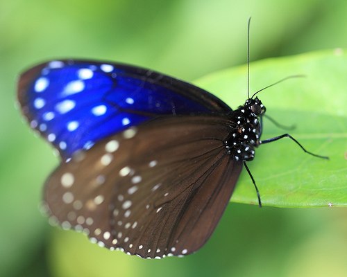 Made Love With | Санкт-Петербург