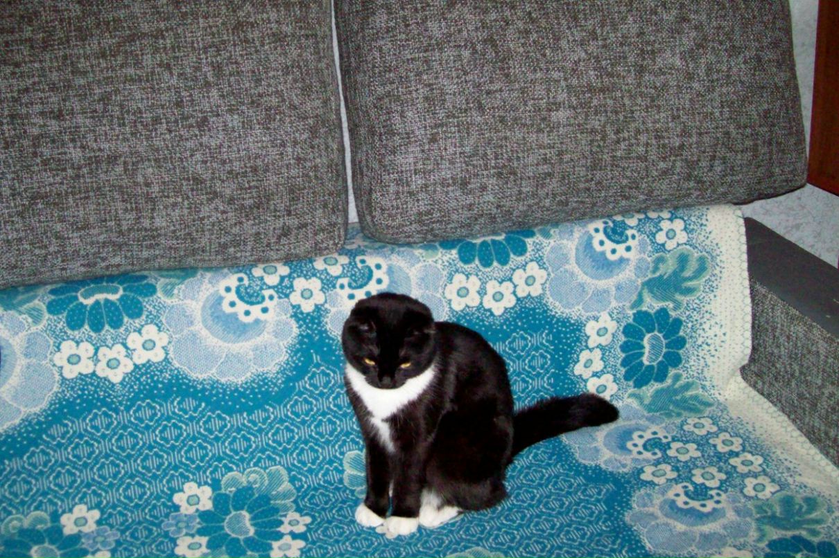 Самуил Шурухт | Санкт-Петербург