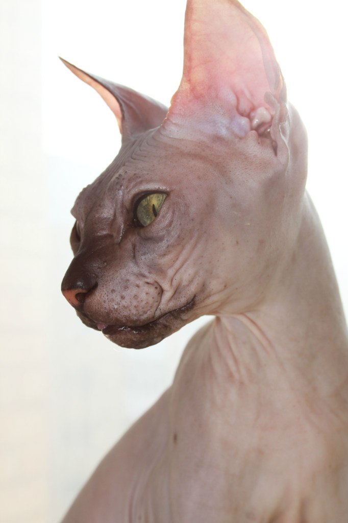 Дармина Попова | Астана / Нур-Султан