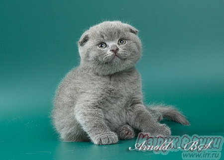 №2, Анютка Меньшенина, Казань №2, Анютка Меньшенина, Казань