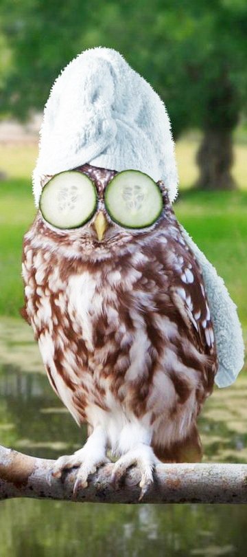 Татьяна Захарова ♥♥♥ Lucky Blond ♥♥♥ | Санкт-Петербург