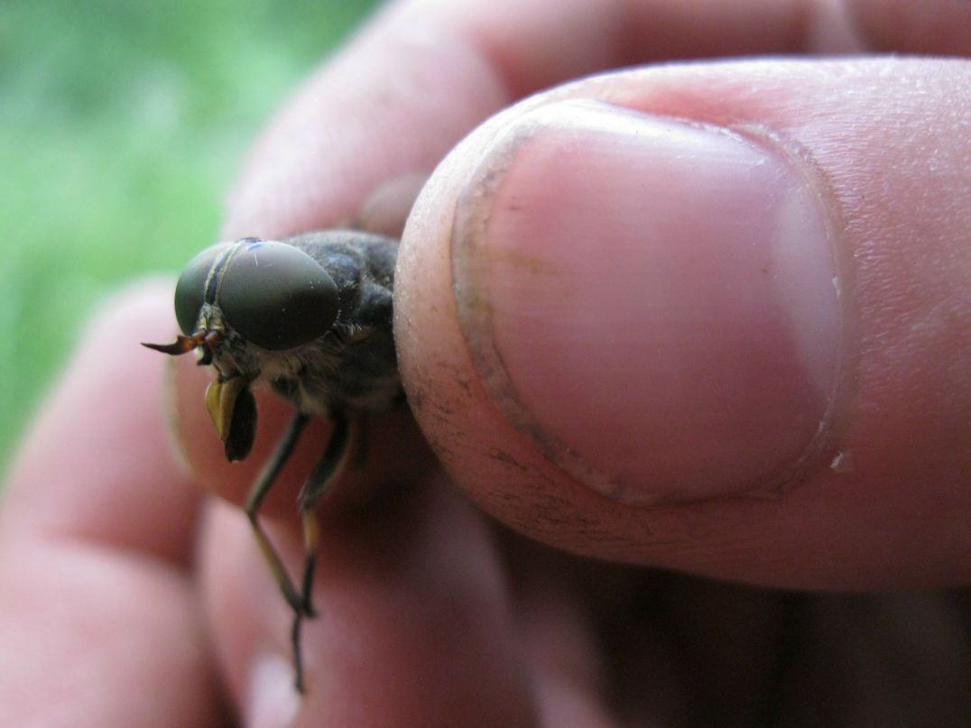 Денис Кузнецов | Самара