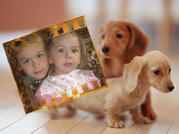 Ксения Орлова | Челябинск