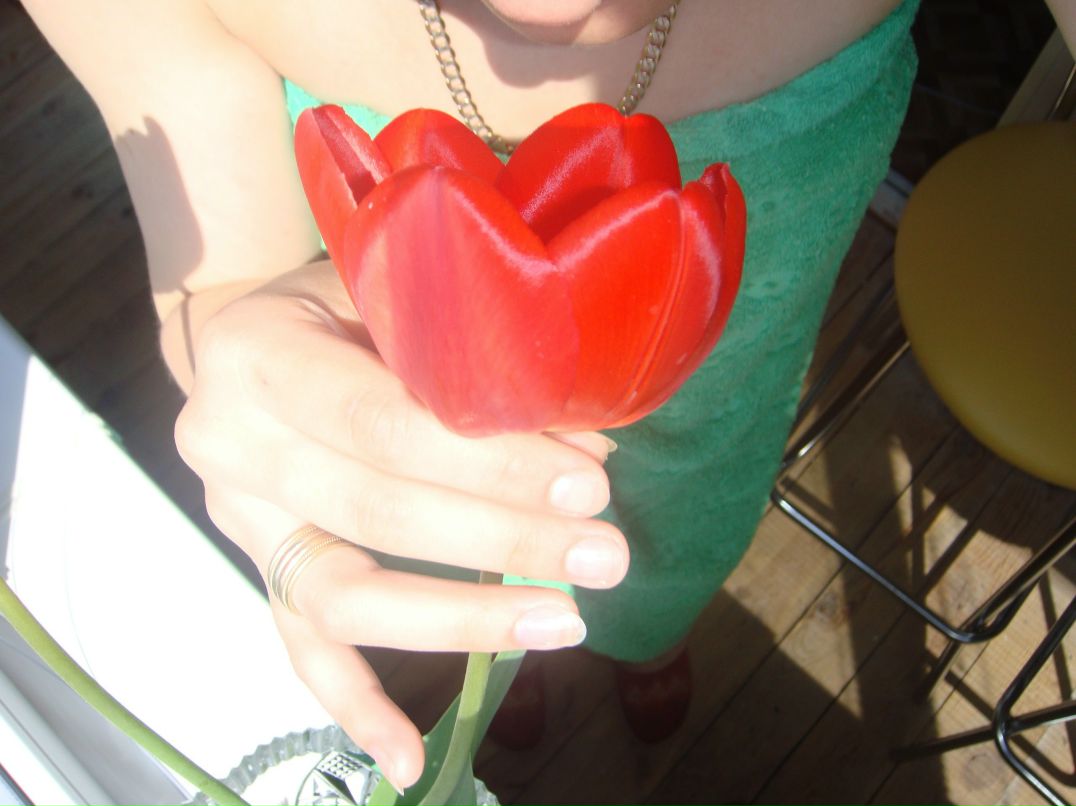 Катя Ивасенко | Борисполь