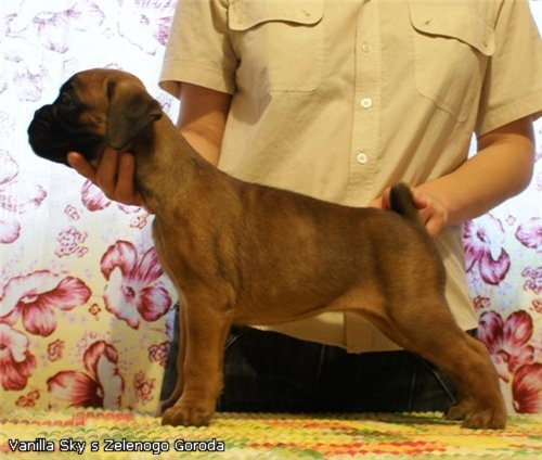 №83, Кристина Чистопольская, 39 лет, Москва №83, Кристина Чистопольская, 39 лет, Москва