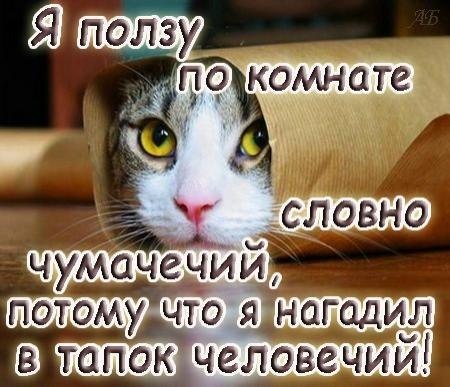 №32, Виктория Вавилова, 30.05.1996, Орёл (хутор) №32, Виктория Вавилова, 30.05.1996, Орёл (хутор)