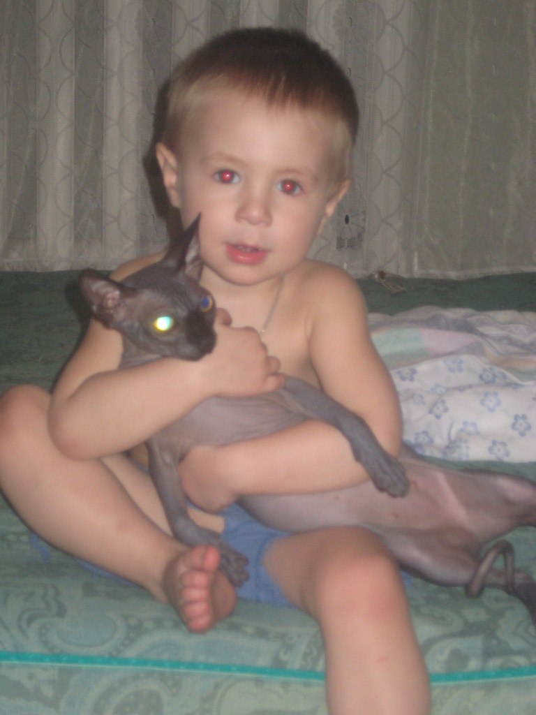 Анна Коротаева | Чехов