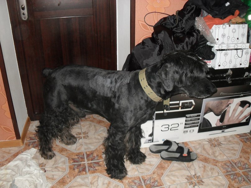 Любовь Клюкина | Мурманск