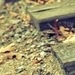 Юлия Пустовойт фотография #11
