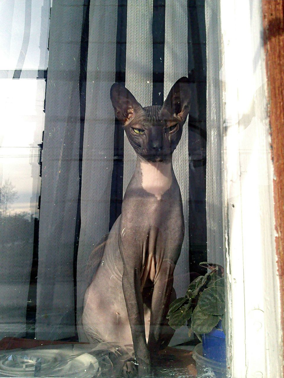 Mr Веталей ???? | Санкт-Петербург