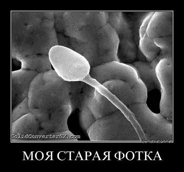 Максим Мячиков сын Сереги | Калининград