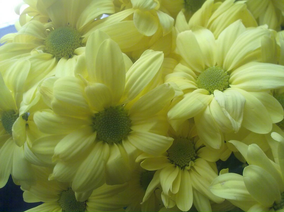 Ксения Сидорова | Москва