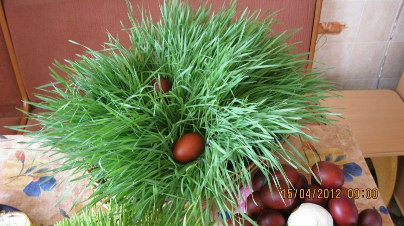 Раиса Филатова | Курган