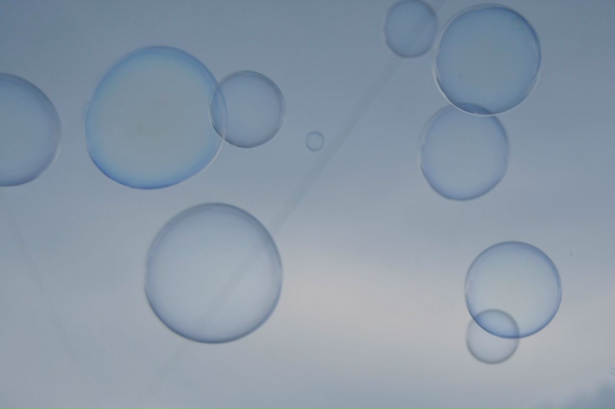 Валентина Комарницкая | Киев