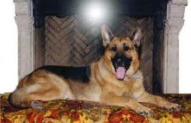 Денис Атанбаев | Уфа