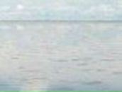 Олександр Барановський | Харьков