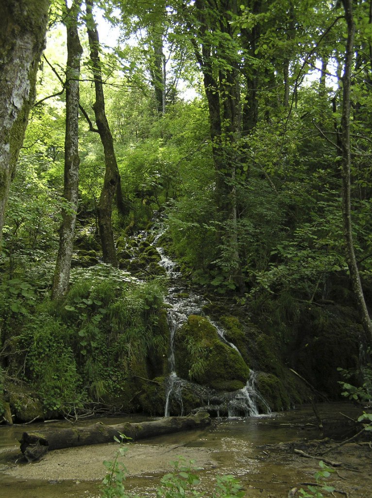 Марина Пергаменщик | Москва