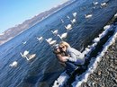 Фотография Ковалёвой Светланы