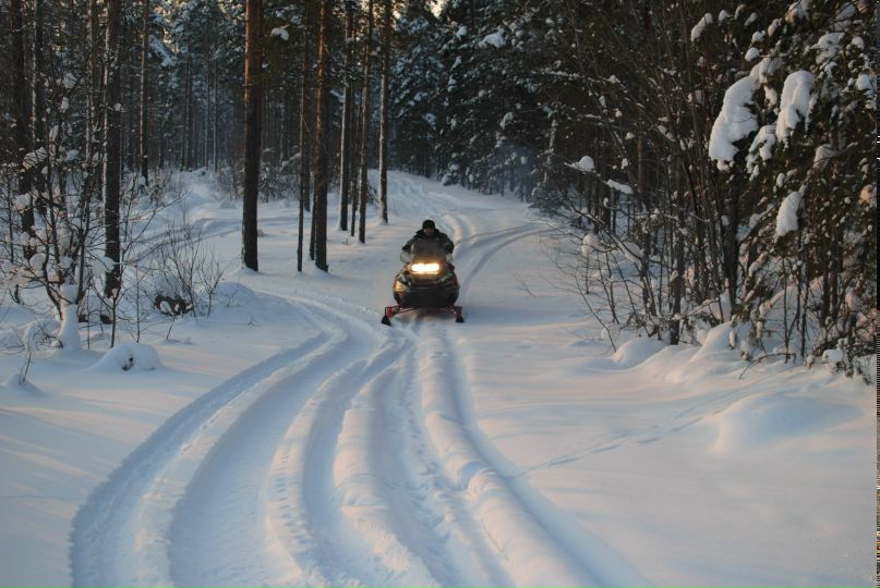 Алексей Степанов | Выборг