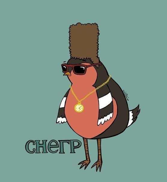 Дмитрий Сизоненко | 