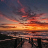 Анна Пешехонова | Воронеж